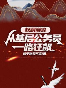 权力巅峰:从基层公务员一路狂飙