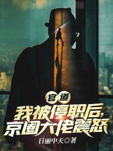 官道:我被停职后,京圈大佬震怒