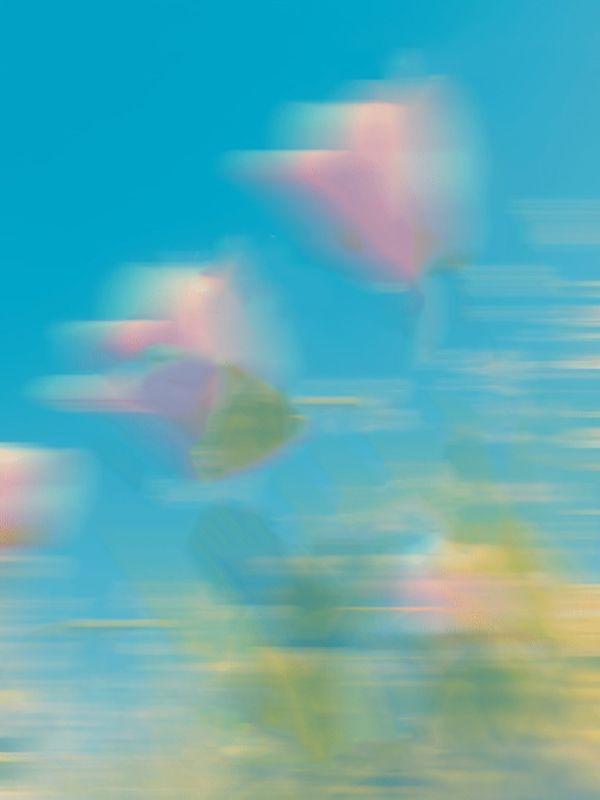 拍卖万倍返还凡铁变极道帝兵! 作